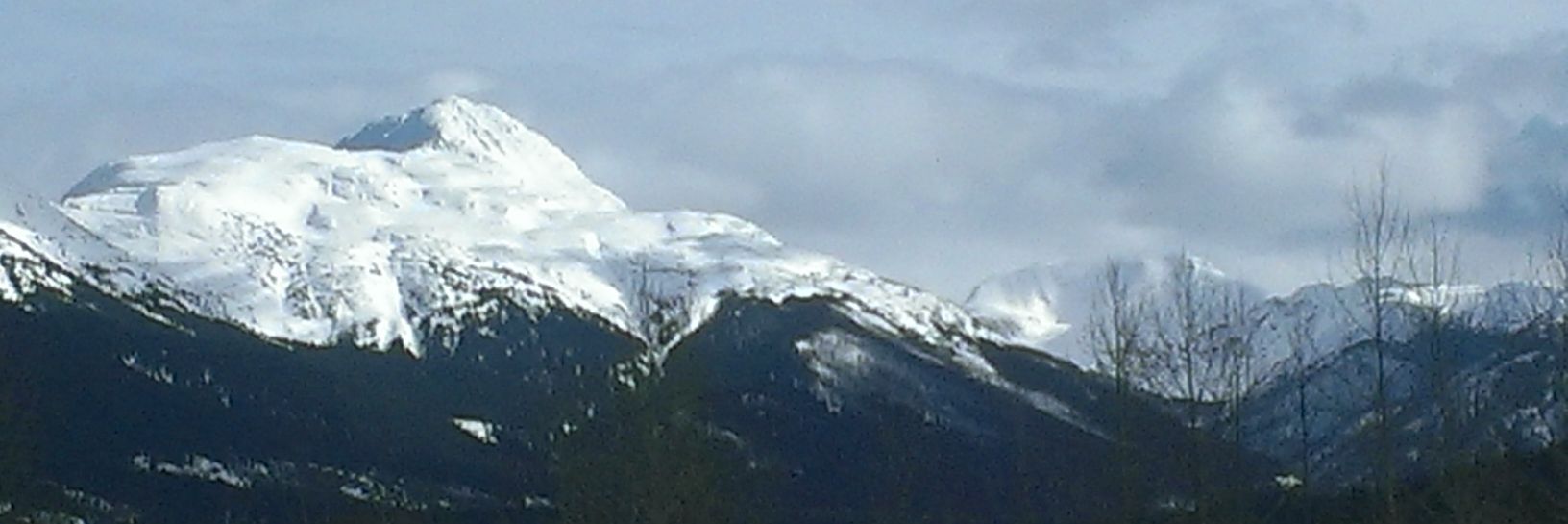 Roger Anderson banner