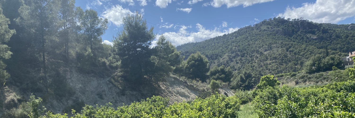 Luis Losana 🍋 banner