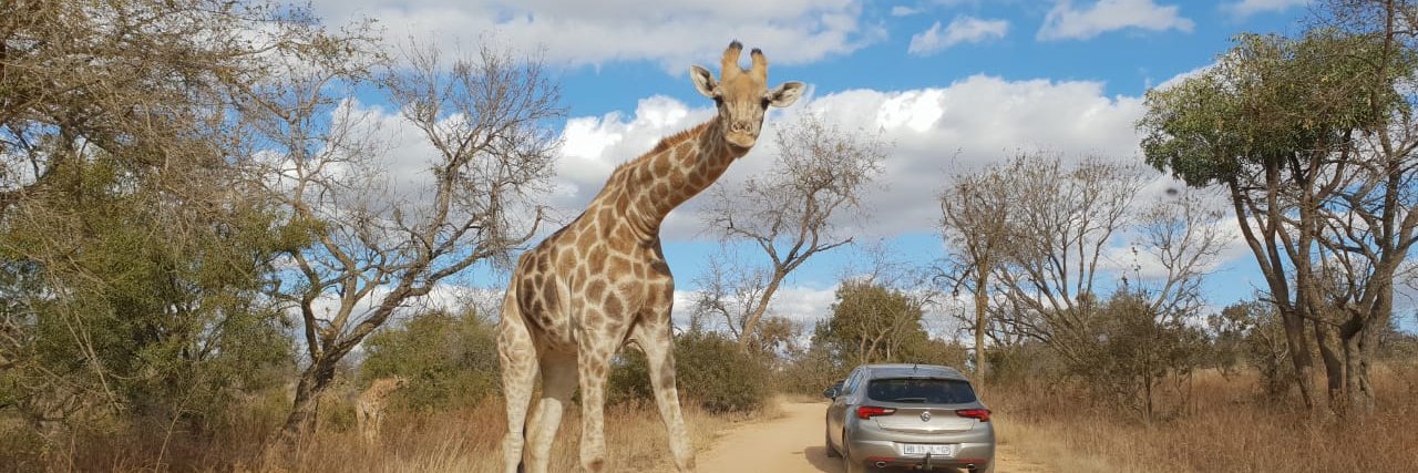 a_hlomax's profile banner image