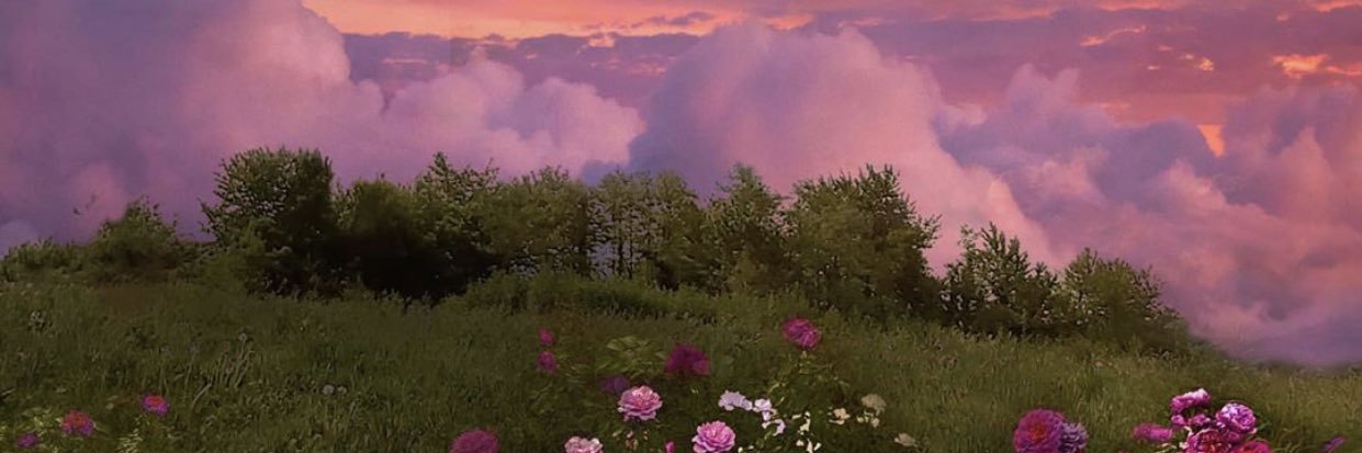 ____sha__'s profile banner image