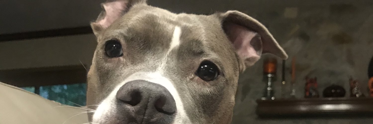 madisonnaubree's profile banner image