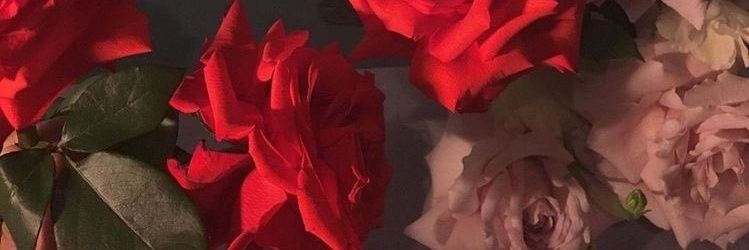 nutellaniallerr's profile banner image