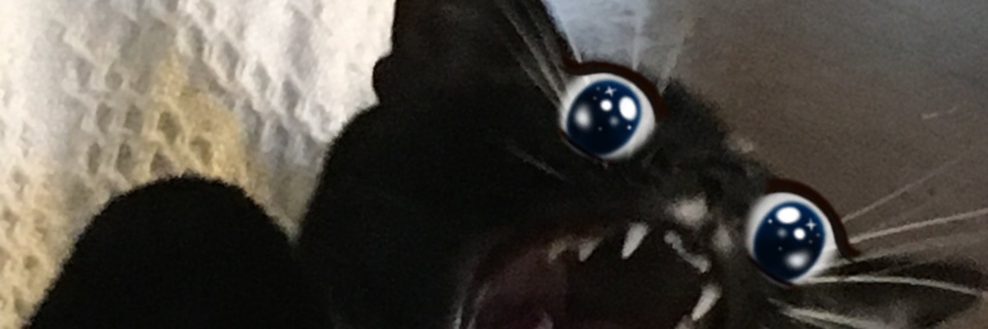 asiddons's profile banner image