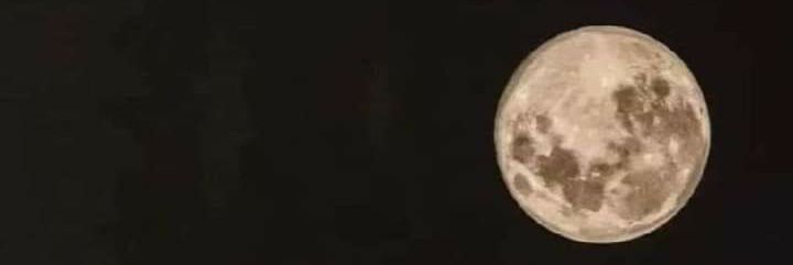 MoonNekane's profile banner image