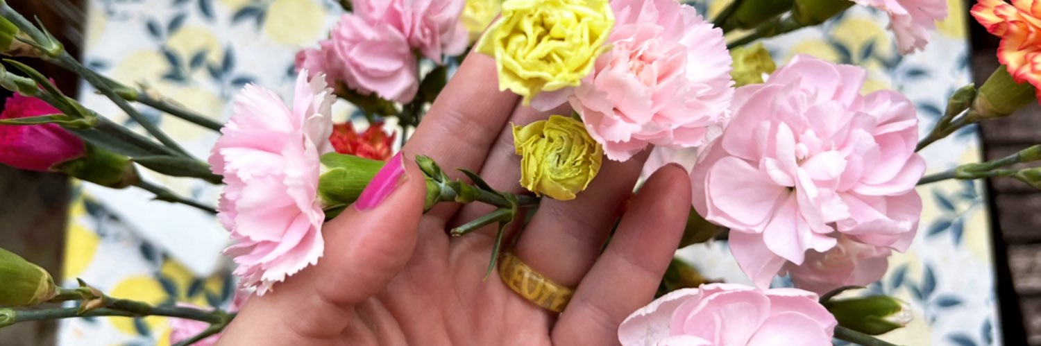 stefiminza's profile banner image