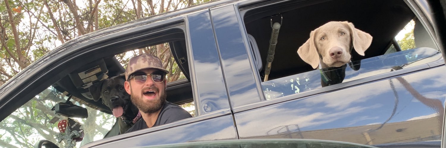 AllieDement's profile banner image