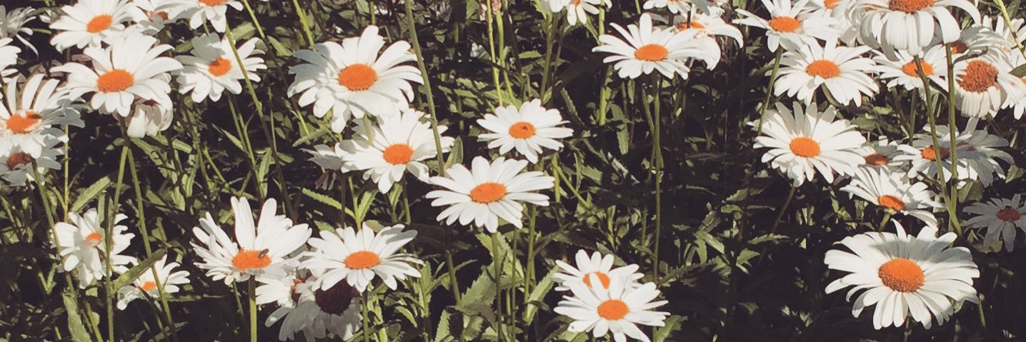 teirrahfilma's profile banner image