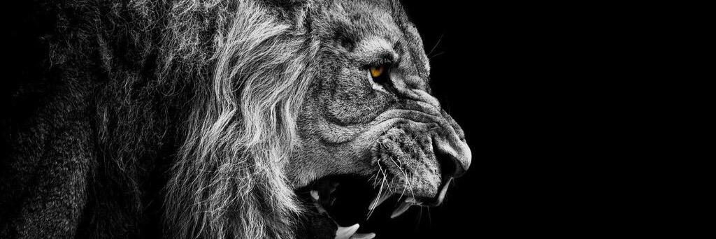 KoleSmith32's profile banner image