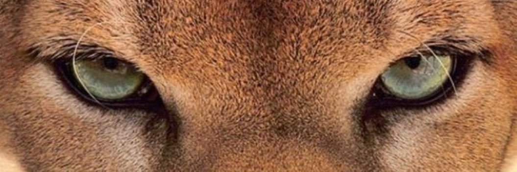 nodaavid's profile banner image
