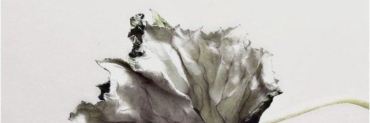 ainyezid's profile banner image