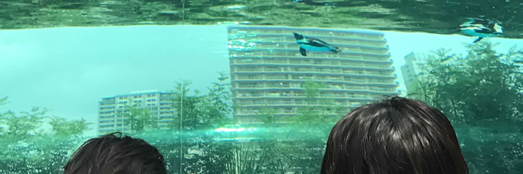 mpiGsp's profile banner image