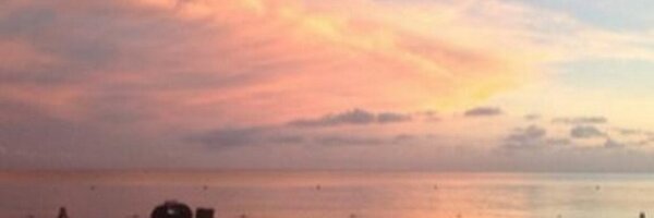 CameronDiaz Profile Banner