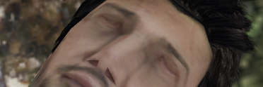 lowgeen banner