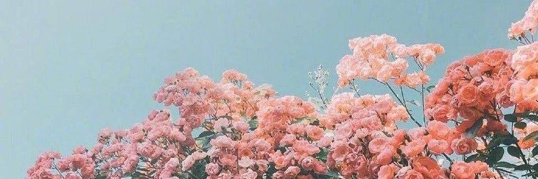 SchmittAxelle's profile banner image