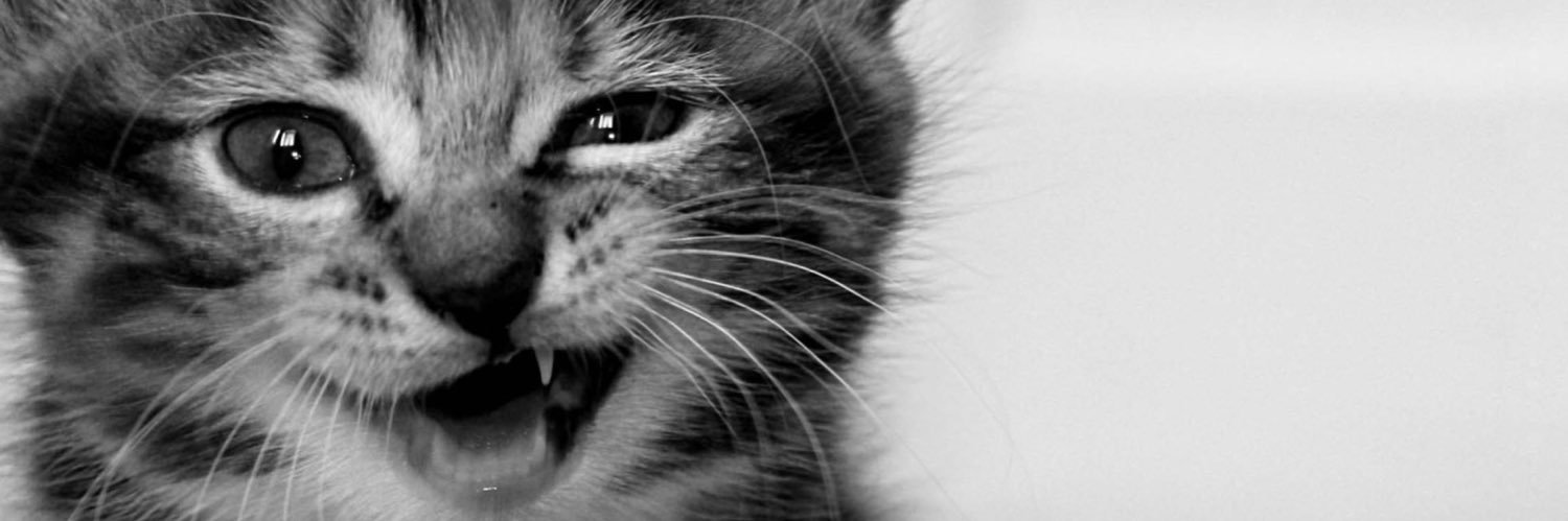 maro0102's profile banner image