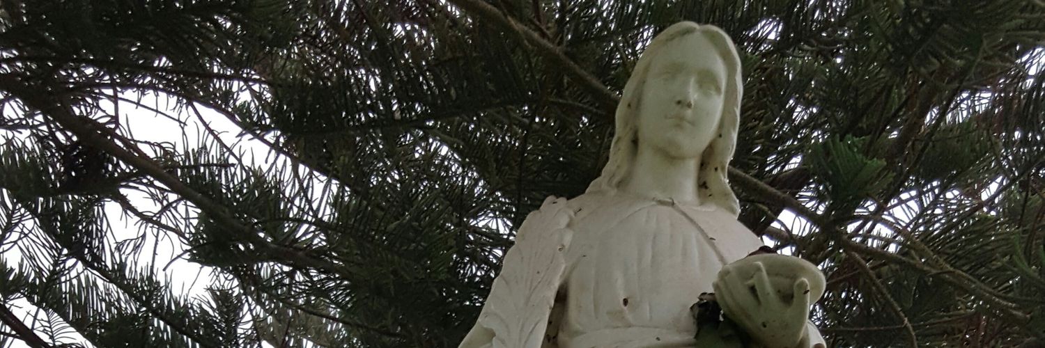 CIndy0389's profile banner image