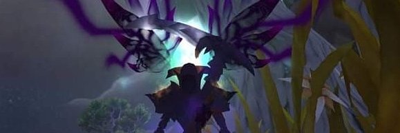 MichelleEhmer's profile banner image