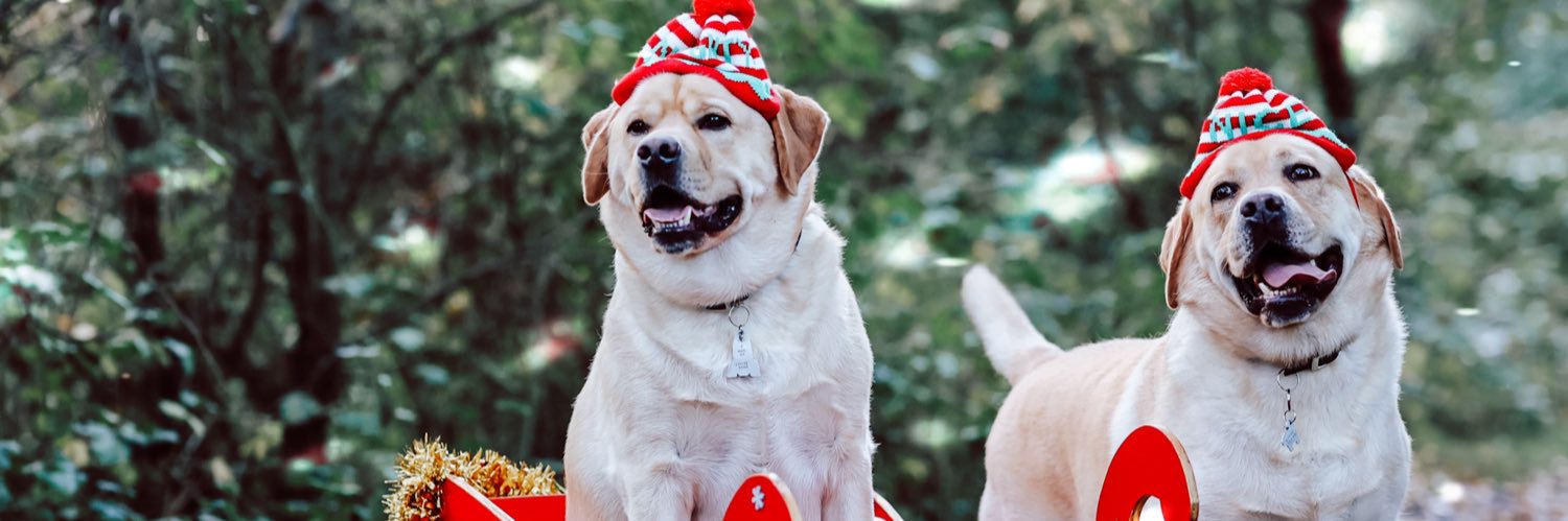 Danielle Fleming banner