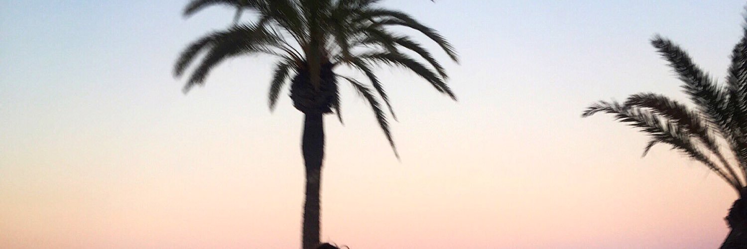 ftarnerstig's profile banner image