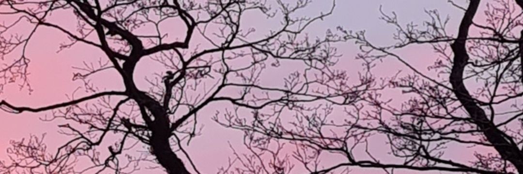 MOz1478's profile banner image