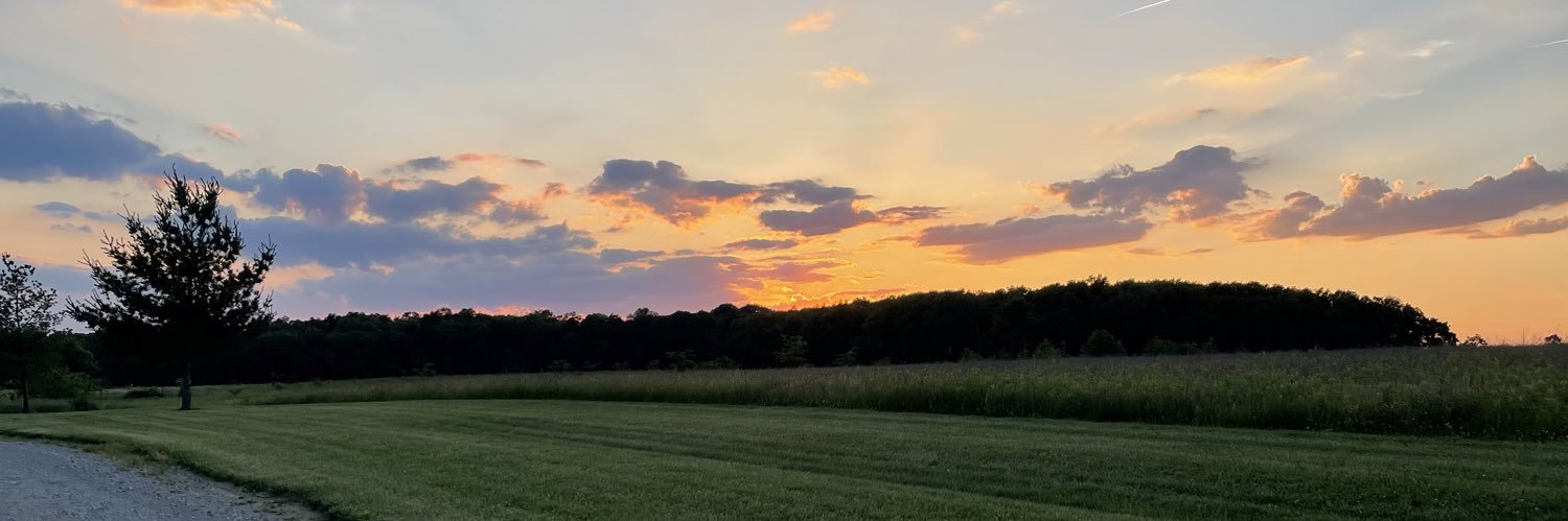 TaylorWerling's profile banner image