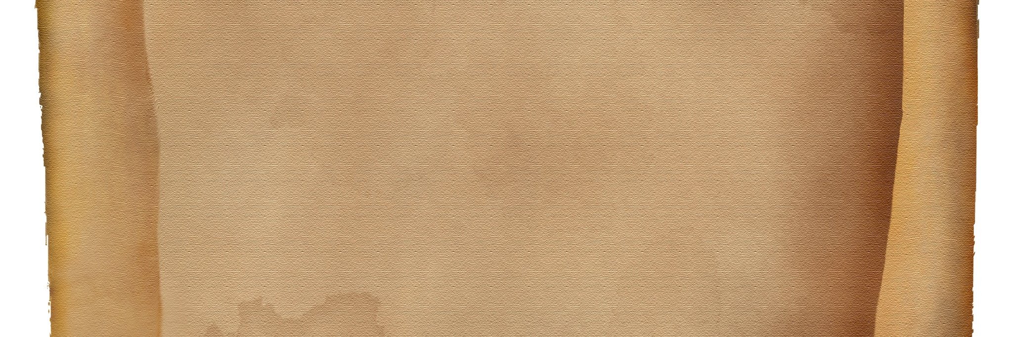 VoxPopuliClarus's profile banner image