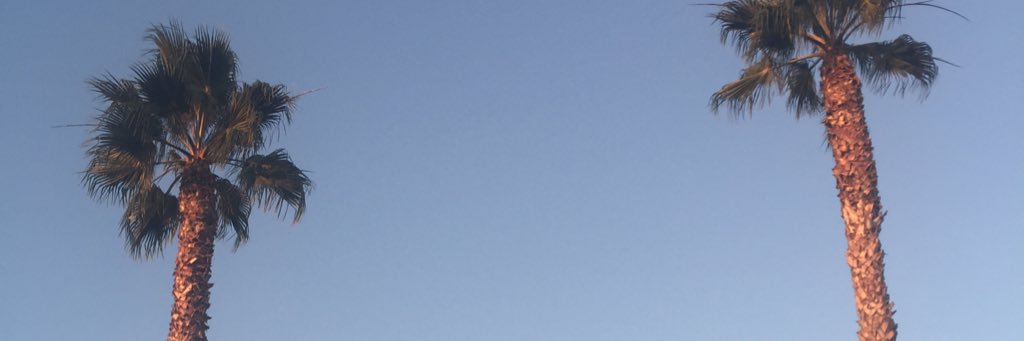 mimi_furu's profile banner image