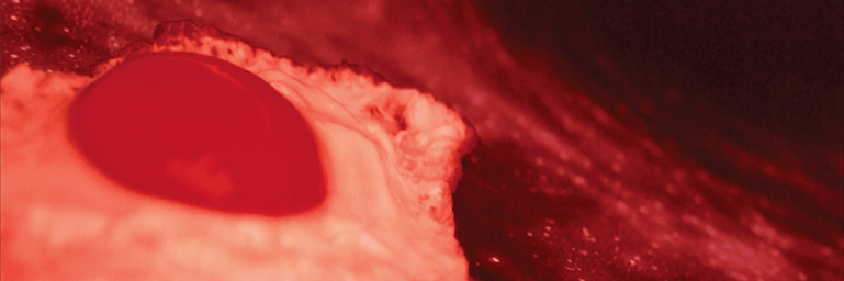 LPMrock's profile banner image