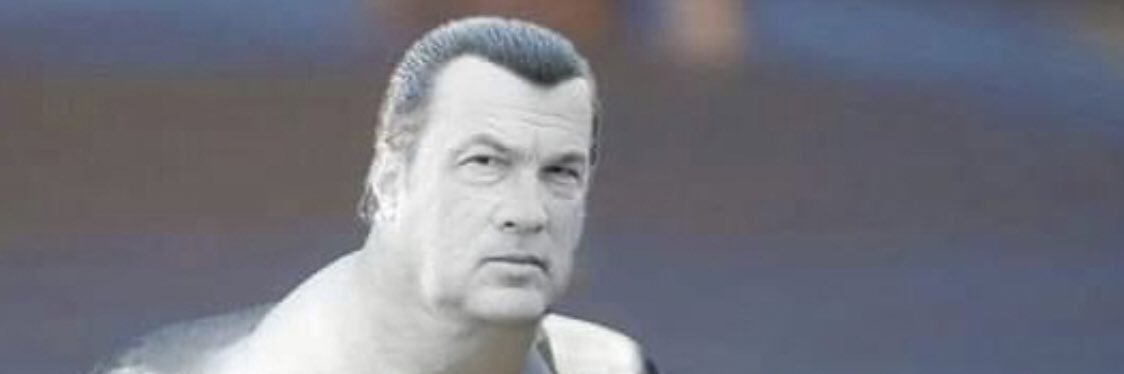 Steven Seagal banner