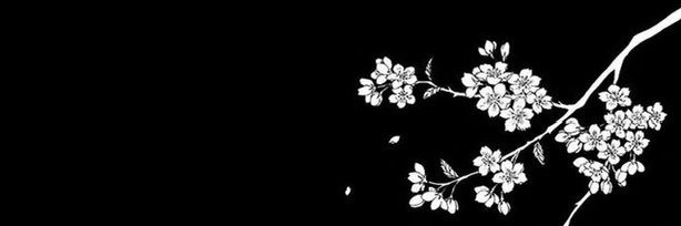 _caly__'s profile banner image