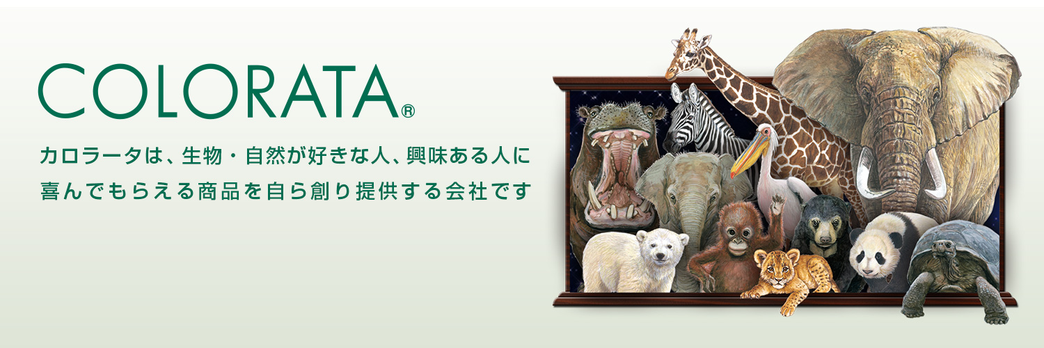 カロラータオンラインショップ banner