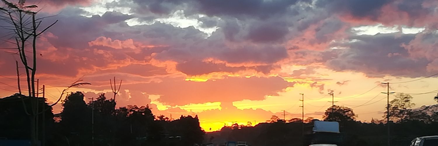 MSkiplangat's profile banner image