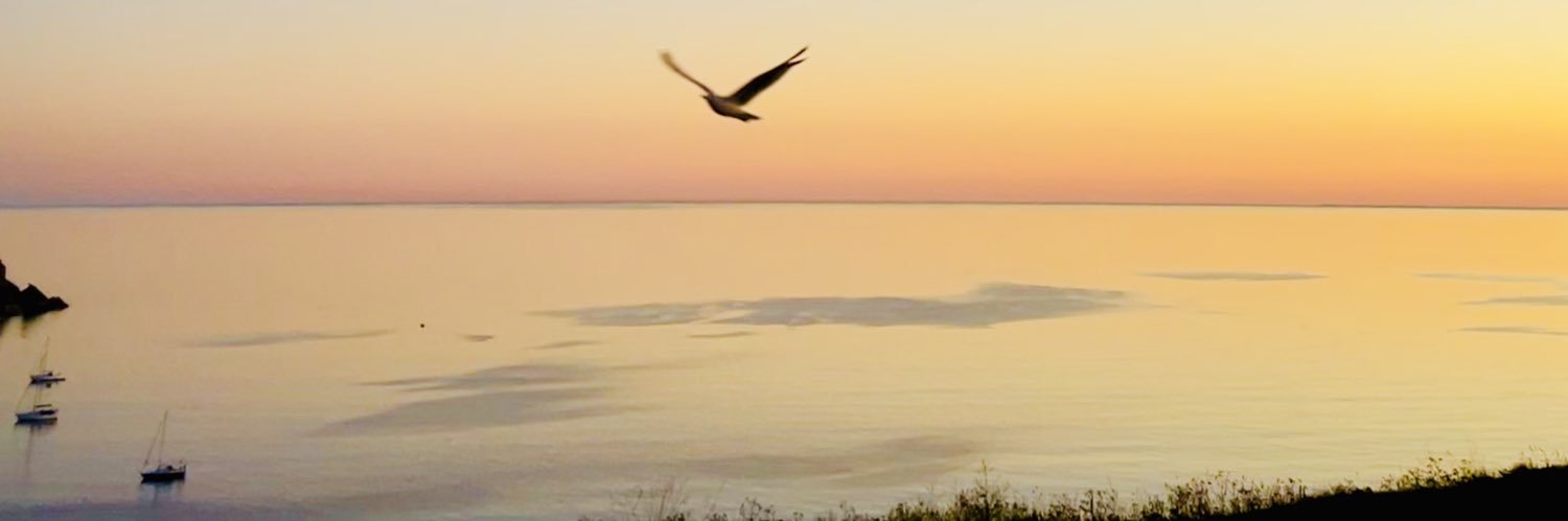 klarke_caplin's profile banner image