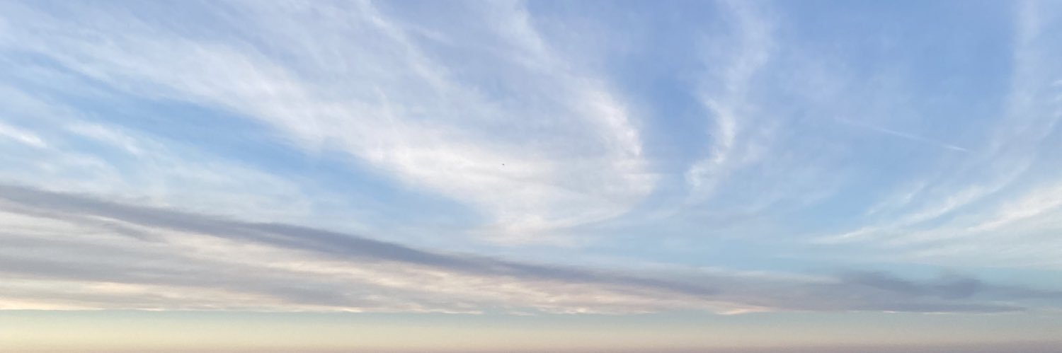 t_for08's profile banner image