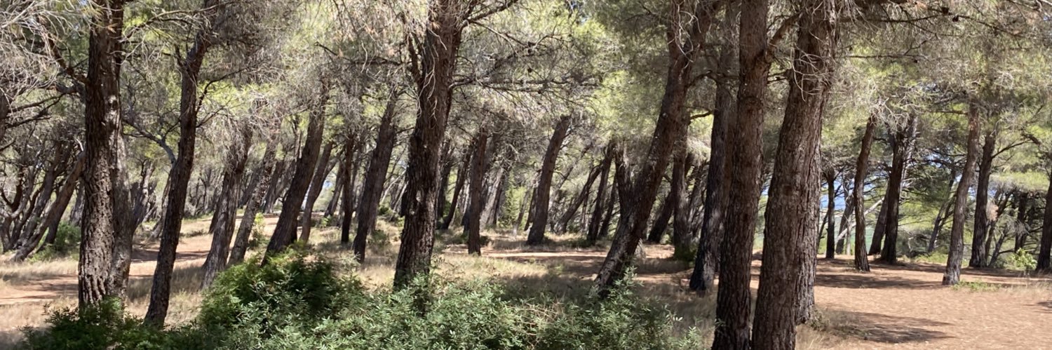 Vincent Sobanski banner