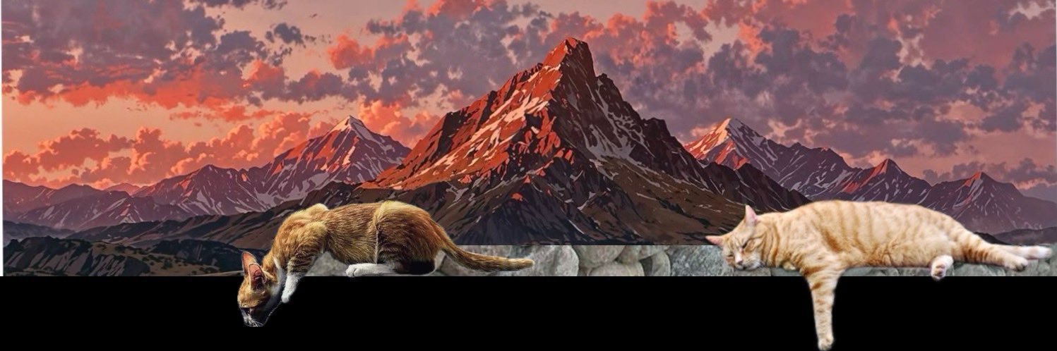 fel_cerdan's profile banner image