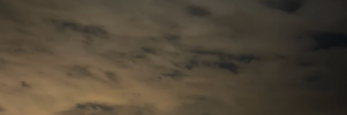 𝓦 banner