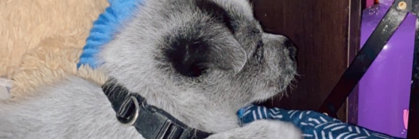 VMB12__'s profile banner image