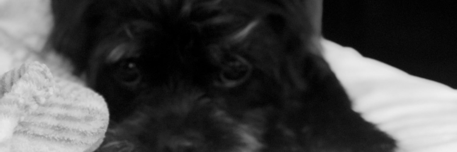 andreap07's profile banner image
