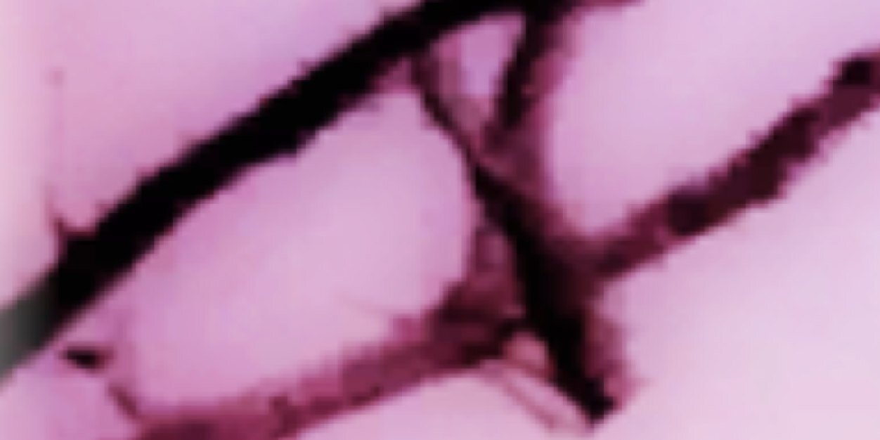simAudreyNash's profile banner image