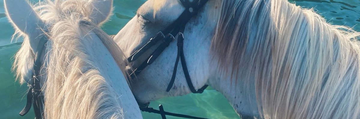 حنين الافتراضية. banner