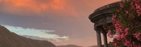 D ✨🌺 banner