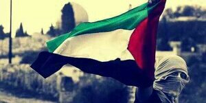 Bellili_Alg's profile banner image
