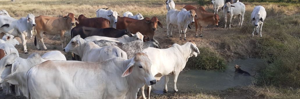 ticose67's profile banner image