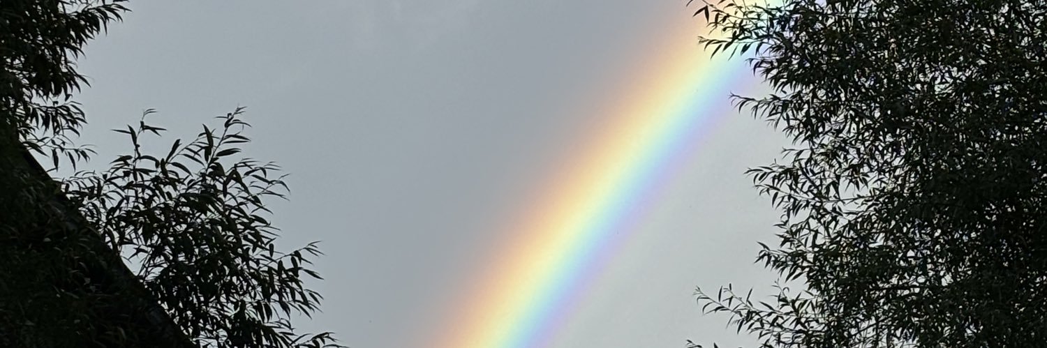 m_rlt's profile banner image