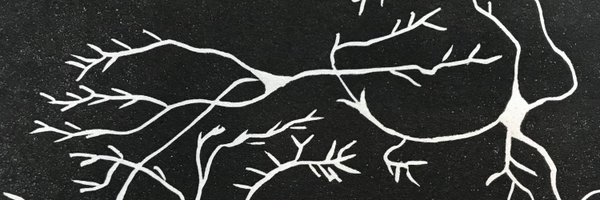 Fuccillomarc Profile Banner