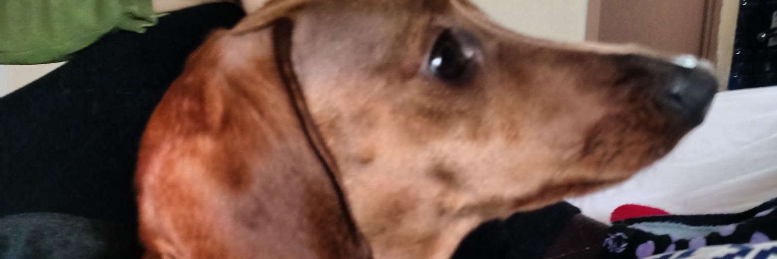 Roberto_L_R's profile banner image