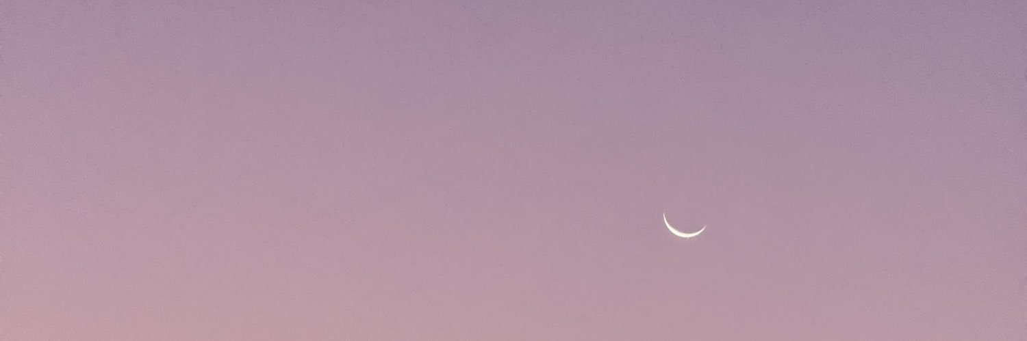 euphoriaecho_'s profile banner image