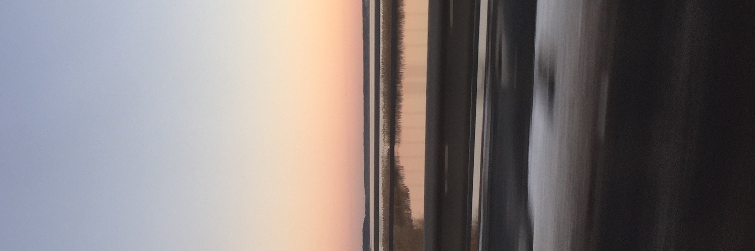 Dace Burdikova banner