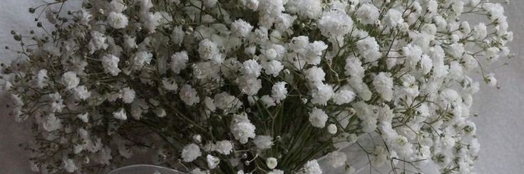 kaell_ro's profile banner image
